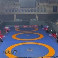 آکادمی کشتی جهان پهلوان محمد طلایی