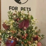 کلینیک دامپزشکی فورپت