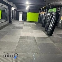 باشگاه آلفا