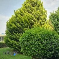 بوستان آبشار