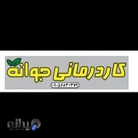 کاردرمانی جوانه