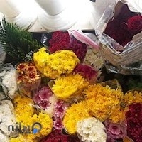 محمود غفاری