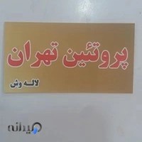پروتیین تهران