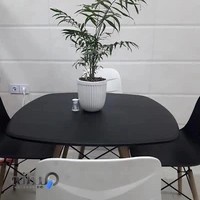 ساندویچ علی