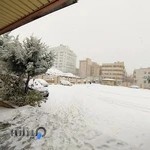 مجموعه ورزشی الزهرا (شعبه ۴۲)