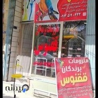 فروشگاه ملزومات پرنده ققنوس