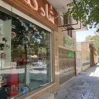 آقای شادکنک