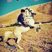 باشگاه سوارکاری تیزپا