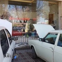 باتری سازی و خدمات برق خودرو صادق