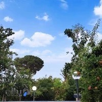 پیش دبستانی سفید برفی