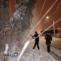 تیرچه و بلوک فیض ا... عکاشه