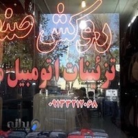 تزئینات اتومبیل ماهر