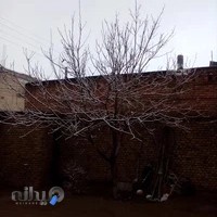 لوله کشی ساختمان تیموری