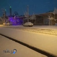 تاکسی تلفنی صبا