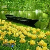 کودکستان بهار اشکفتک