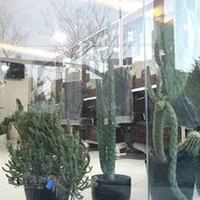 دفتر خدمات الکترونیک قضایی