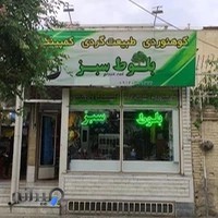 فروشگاه کوهنوردی و کمپینگ بلوط سبز