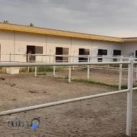 باشگاه سوارکاری آلمان (Germany Horse Riding School)