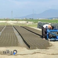 کارگاه بلوک زنی نوروزی و دشتکی