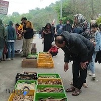 فروشگاه ظروف چوبی آمازون (براتی)amazon.woodcraft