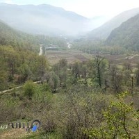 محمدعلمشاهی