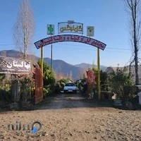 نهالستان گل و گیاه نرگس