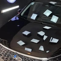 دیتیلینگ (سرامیک بدنه،زیبایی،قلم گیری)