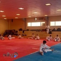 باشگاه قهرمانان کاراته سعید تجری