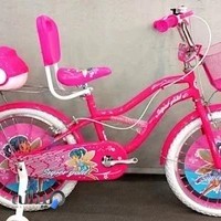 فروشگاه دوچرخه ایران دوچرخ وی راید