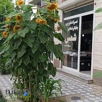 نمایندگیخدمات پس از فروش شمس