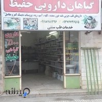 گیاهان داروئی حفیظ