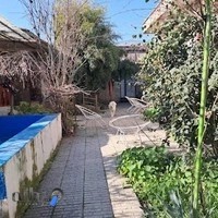 عکاسی فتوژست