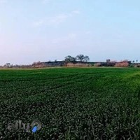 آژانس شاهوزی