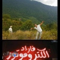 سیم پیچی فاراد-گنجی