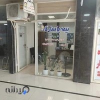 نمایندگی بیمه پاسارگاد شیرمحمدلی - توغدری