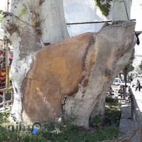 موبایل و تابلو میعاد