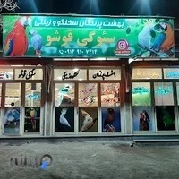 فروشگاه بزرگ سئوگی قوشی خسروشاه