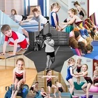 باشگاه ژیمناستیک و شیرجه مرادی