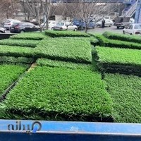 تبریز ترمووال