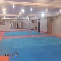 باشگاه کیوکوشین کاراته استاد پرتوی ( شهید علیپور )