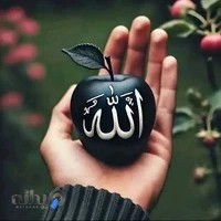 وانت بار سیار