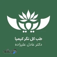دکتر علیزاده طب سنتی و سوزنی و سوجوک