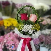 لهستان نفیس