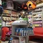 کلینیک حیوانات خانگی مهر نیاوران