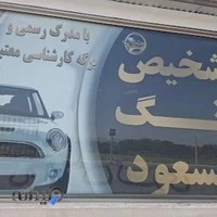 تشخیص رنگ مسعود