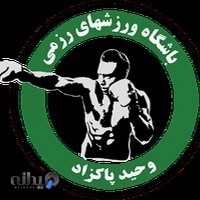 باشگاه ورزش های رزمی وحید پاکزاد