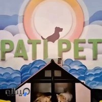 هتل پانسیون و مهد سگ پاتی PatiPet