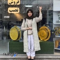 قطعات اسانسور پردیس