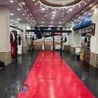 باشگاه مبارزه زئوس