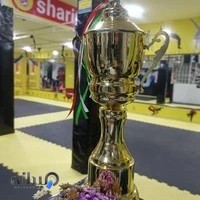 باشگاه ورزشی شریف